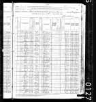 1880 United States Federal Census for Bridget Burke (1)