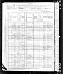 1880 United States Federal Census for Conrod Nagle
